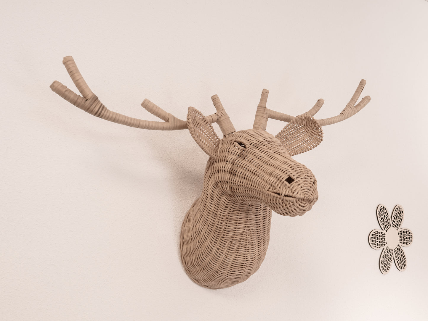 Rotan Dierenkop James Dierenkop Muurdecoratie