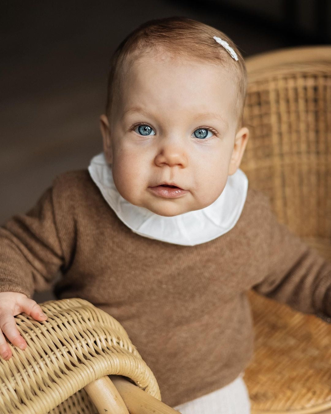 Rotan Hobbelpaard Leo