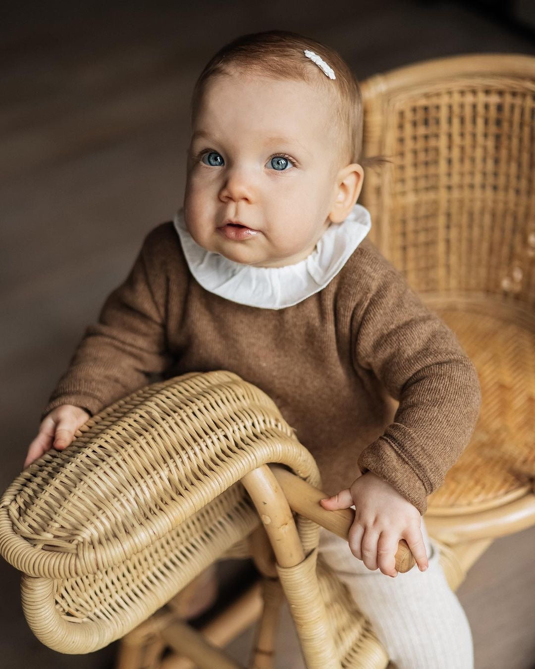 Rotan Hobbelpaard Leo