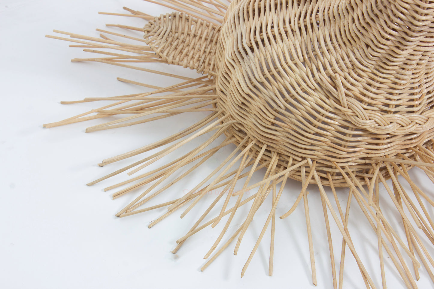 Rotan Dierenkop Benji Egel Muurdecoratie
