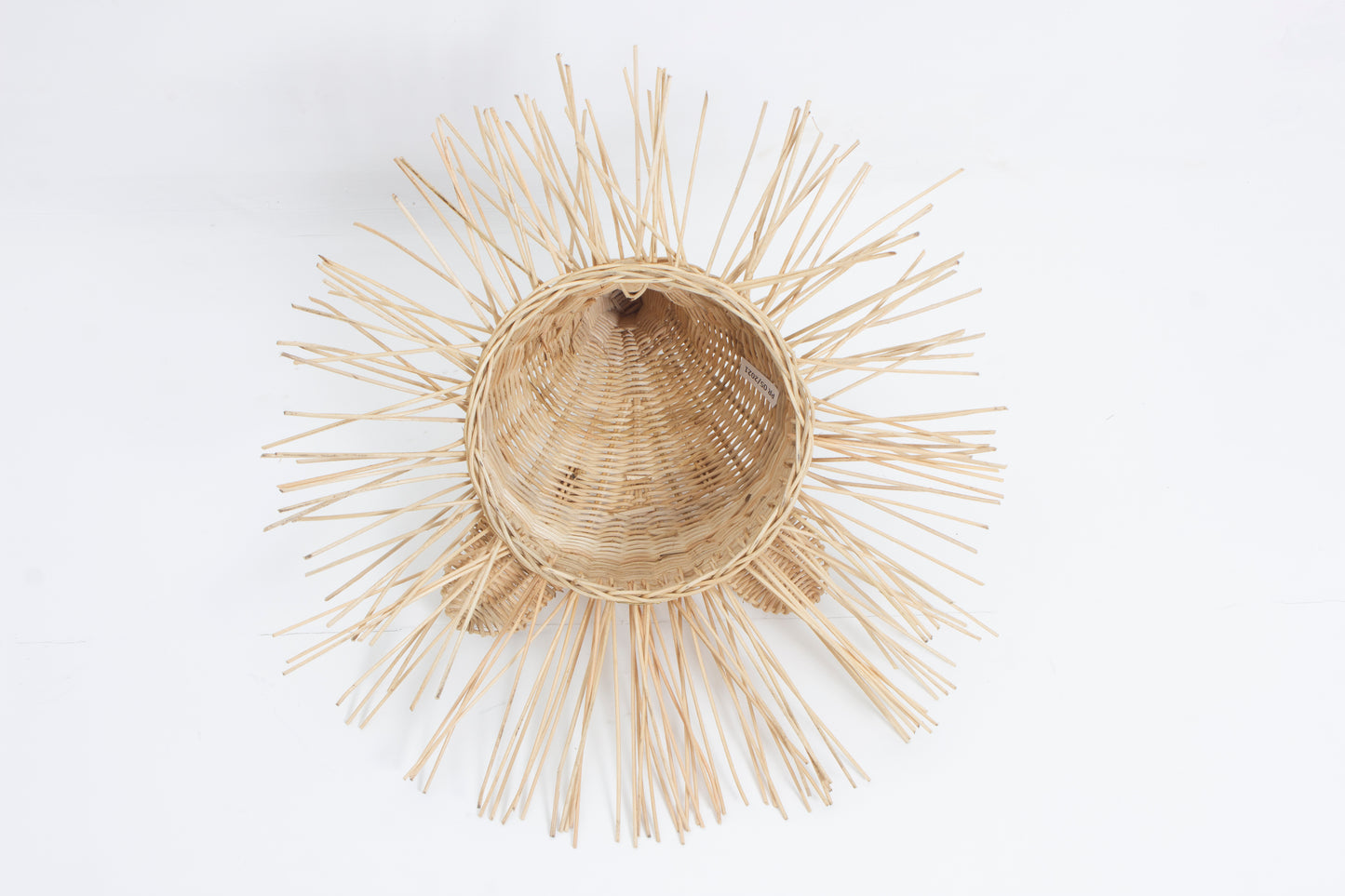 Rotan Dierenkop Benji Egel Muurdecoratie