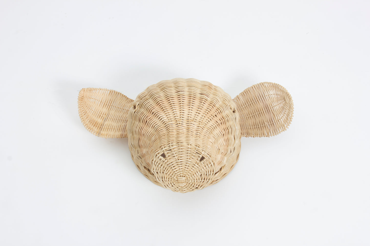 Rotan Dierenkop Eddy Varken Muurdecoratie