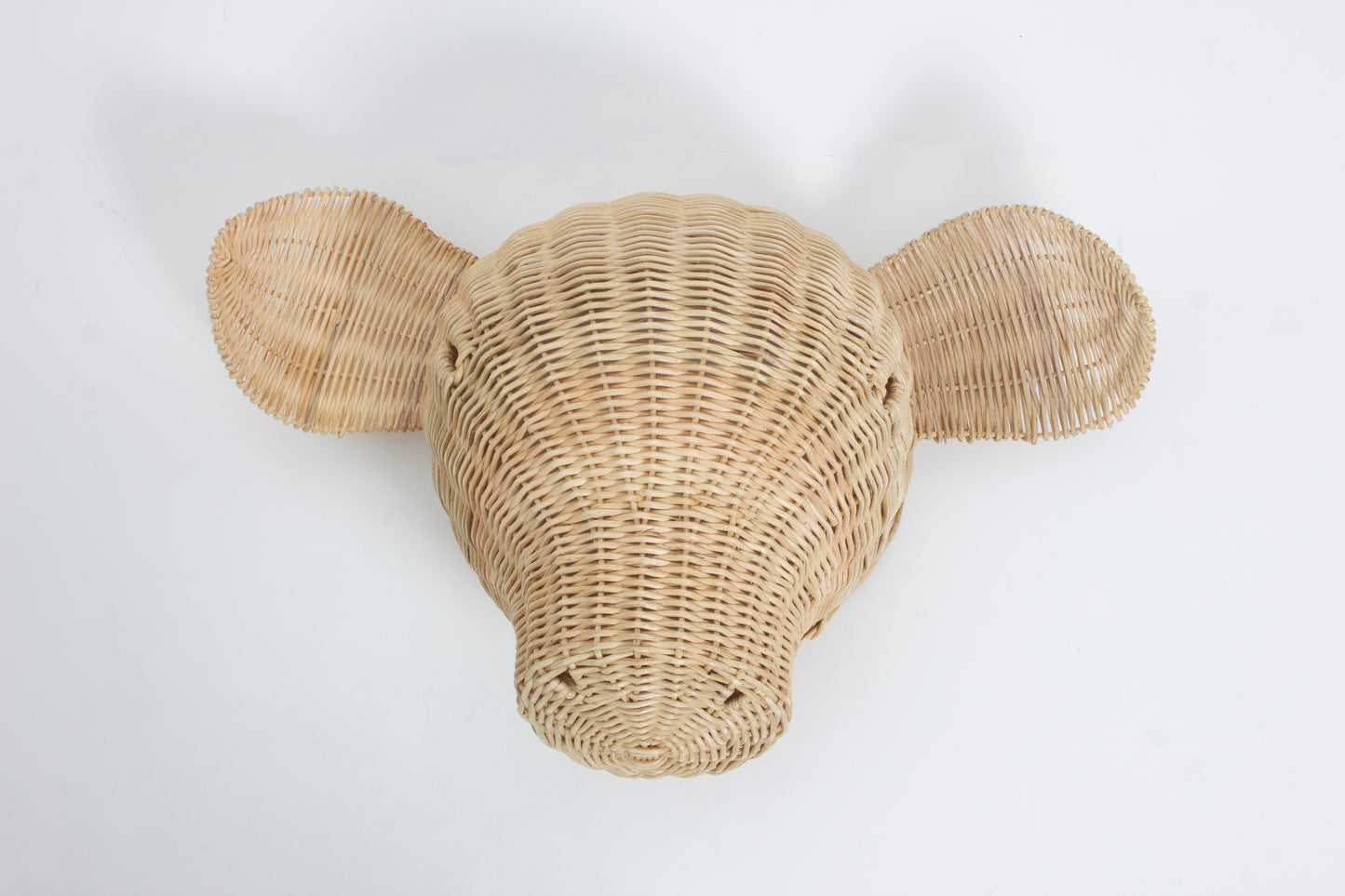 Rotan Dierenkop Eddy Varken Muurdecoratie