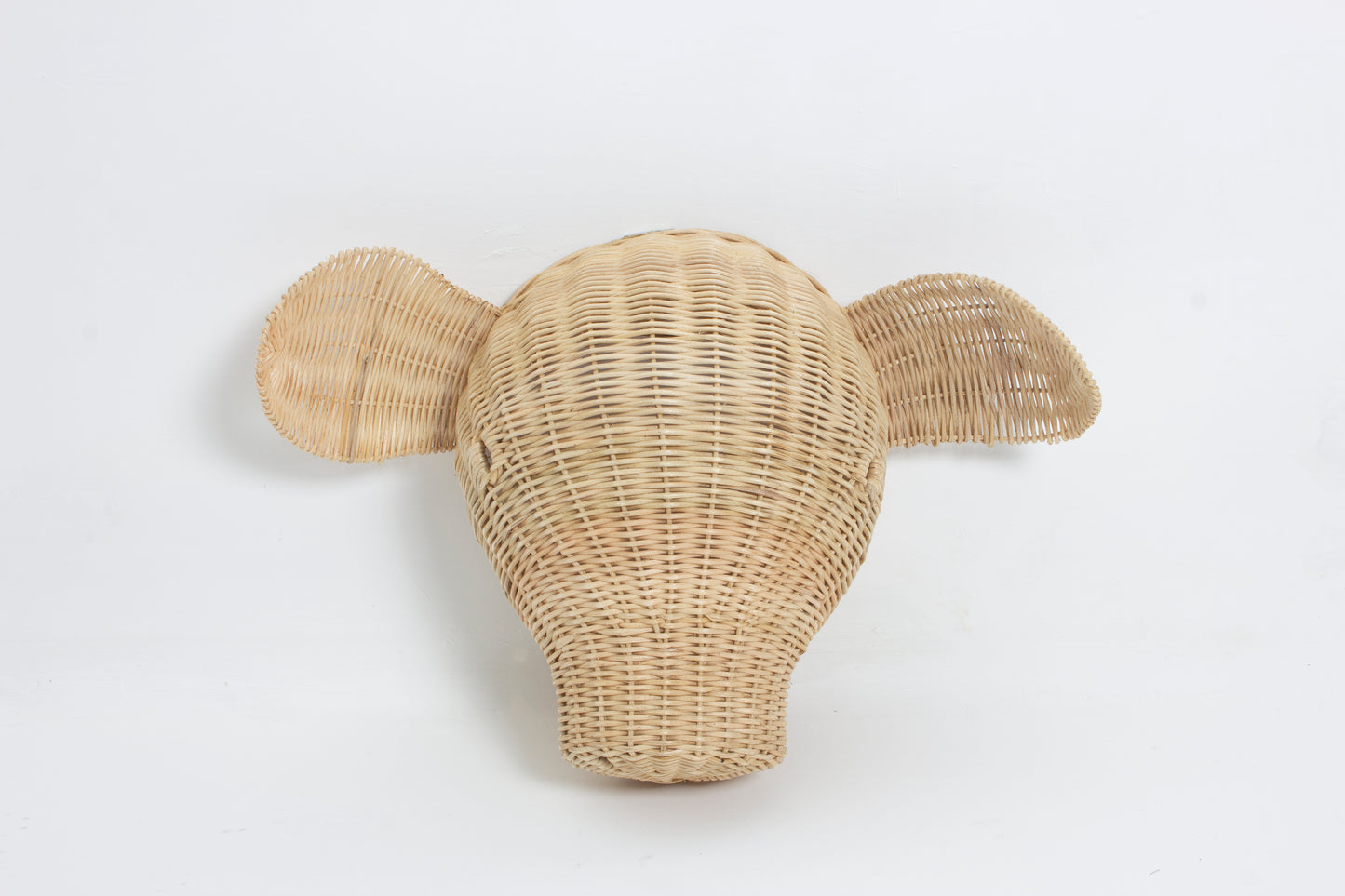 Rotan Dierenkop Eddy Varken Muurdecoratie