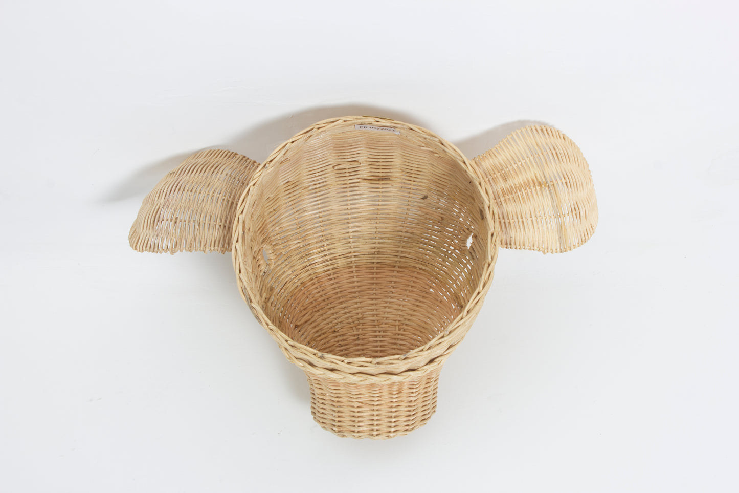Rotan Dierenkop Eddy Varken Muurdecoratie