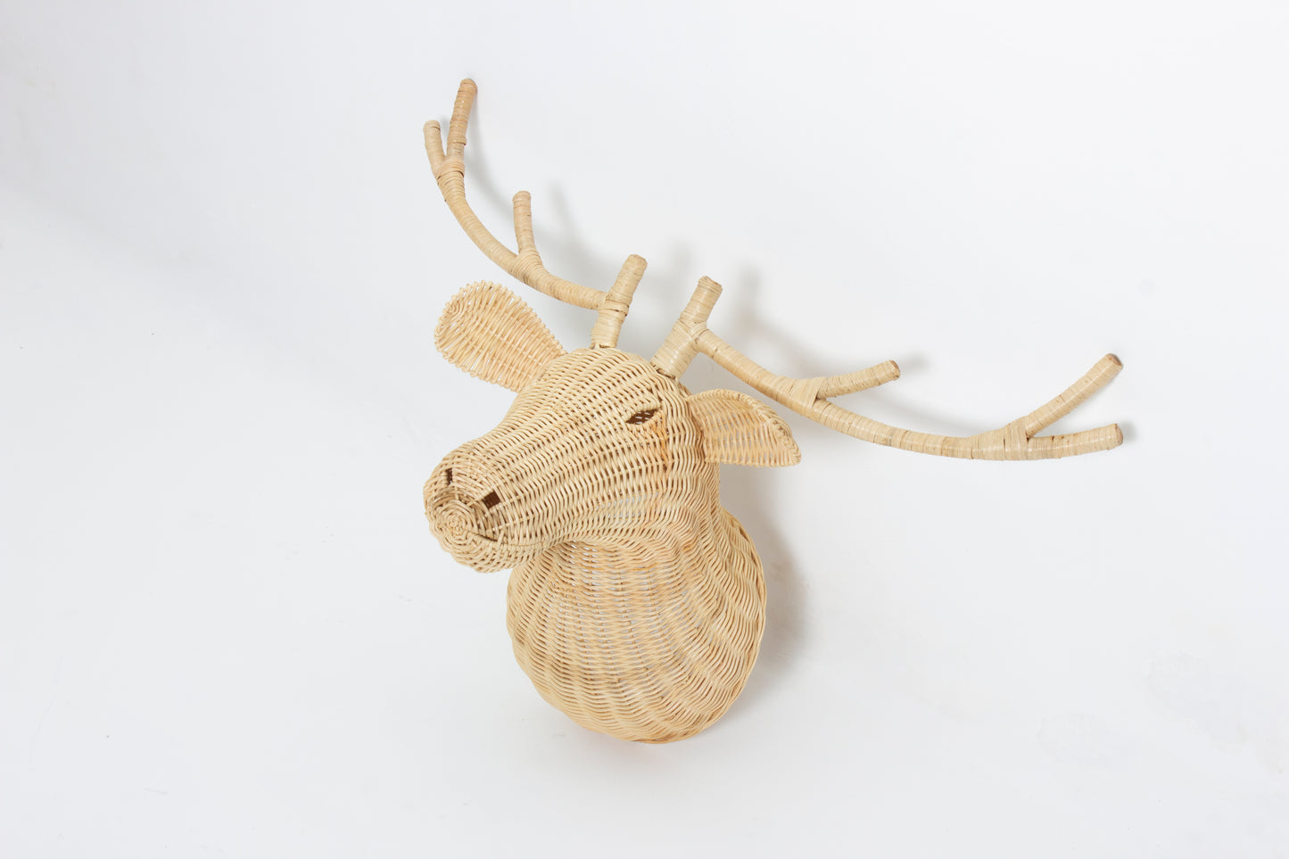 Rotan Dierenkop James Dierenkop Muurdecoratie