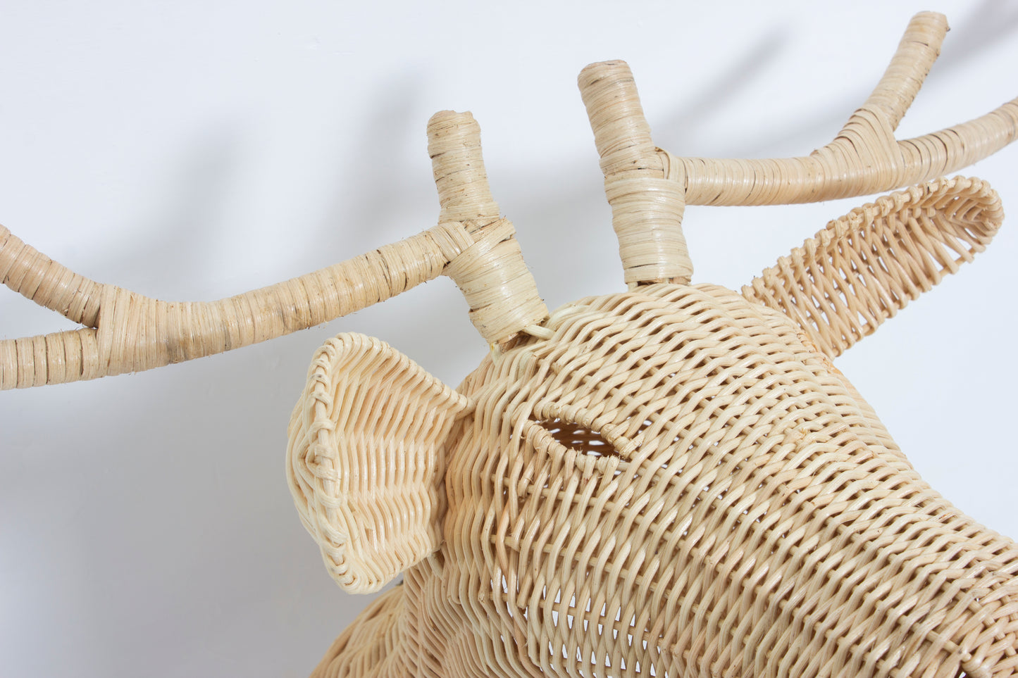 Rotan Dierenkop James Dierenkop Muurdecoratie