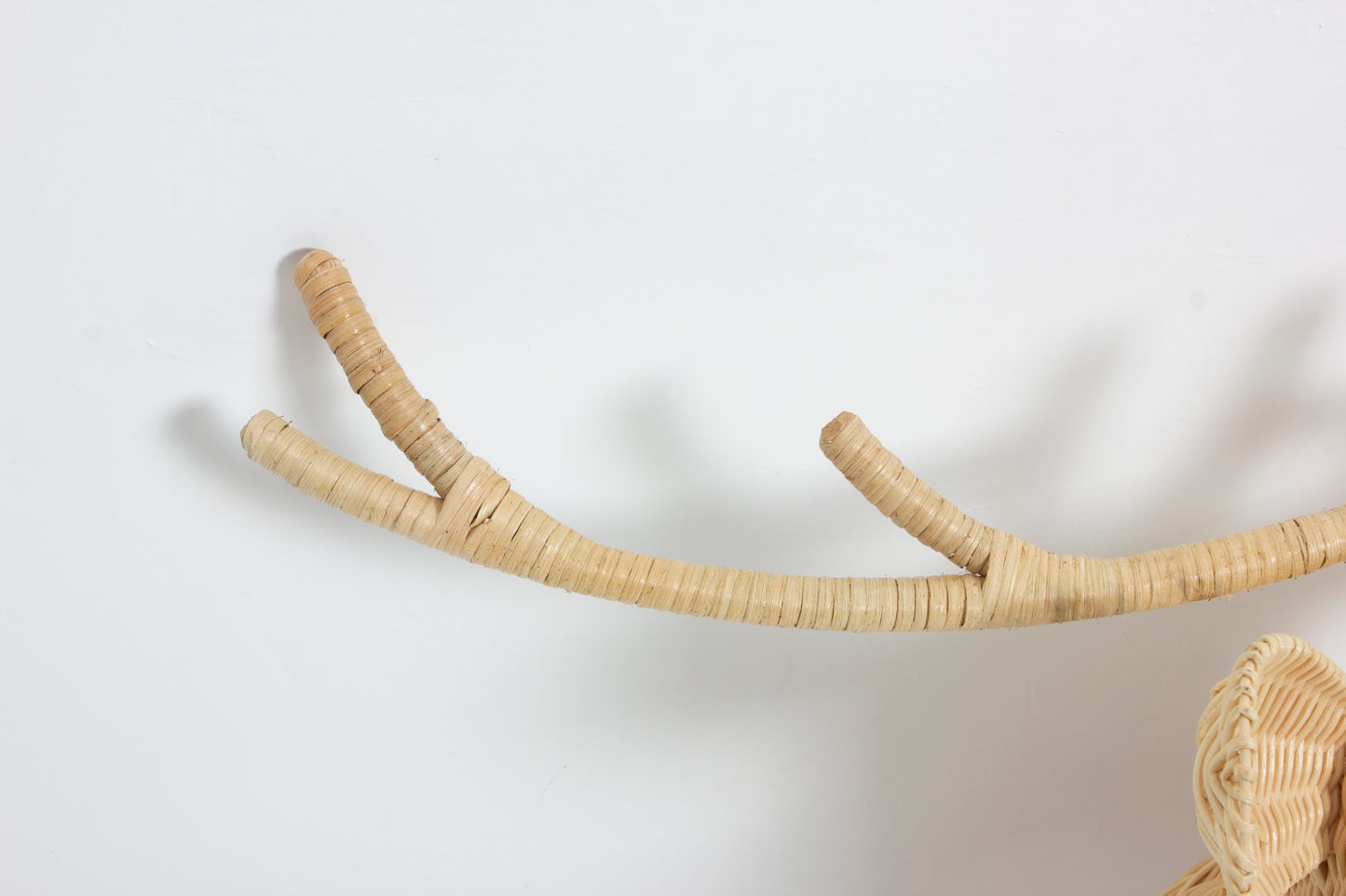 Rotan Dierenkop James Dierenkop Muurdecoratie