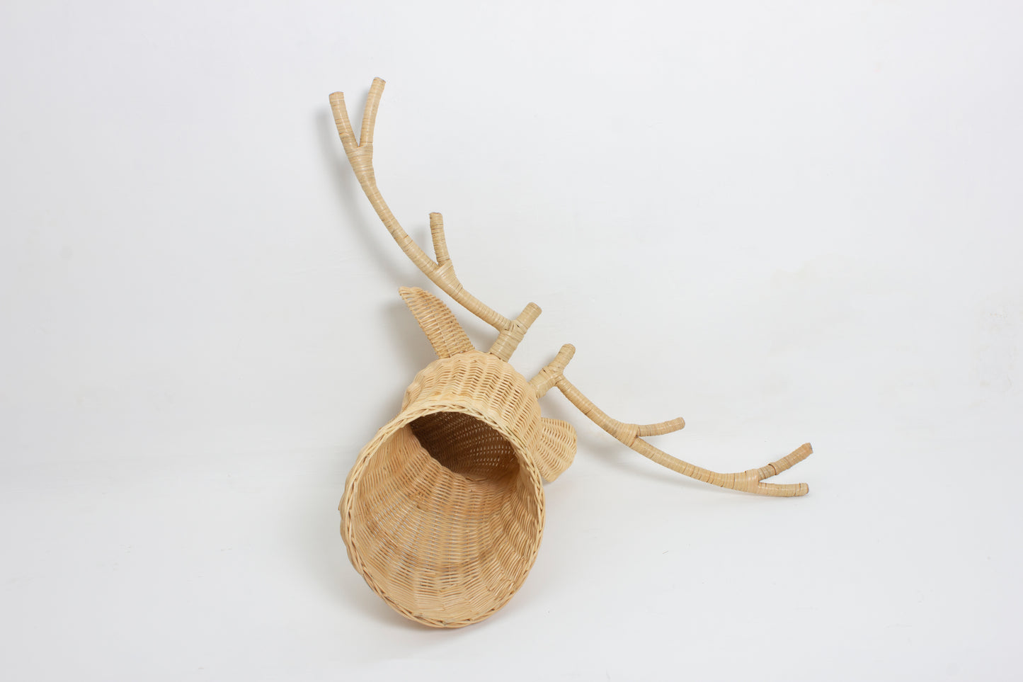 Rotan Dierenkop James Dierenkop Muurdecoratie