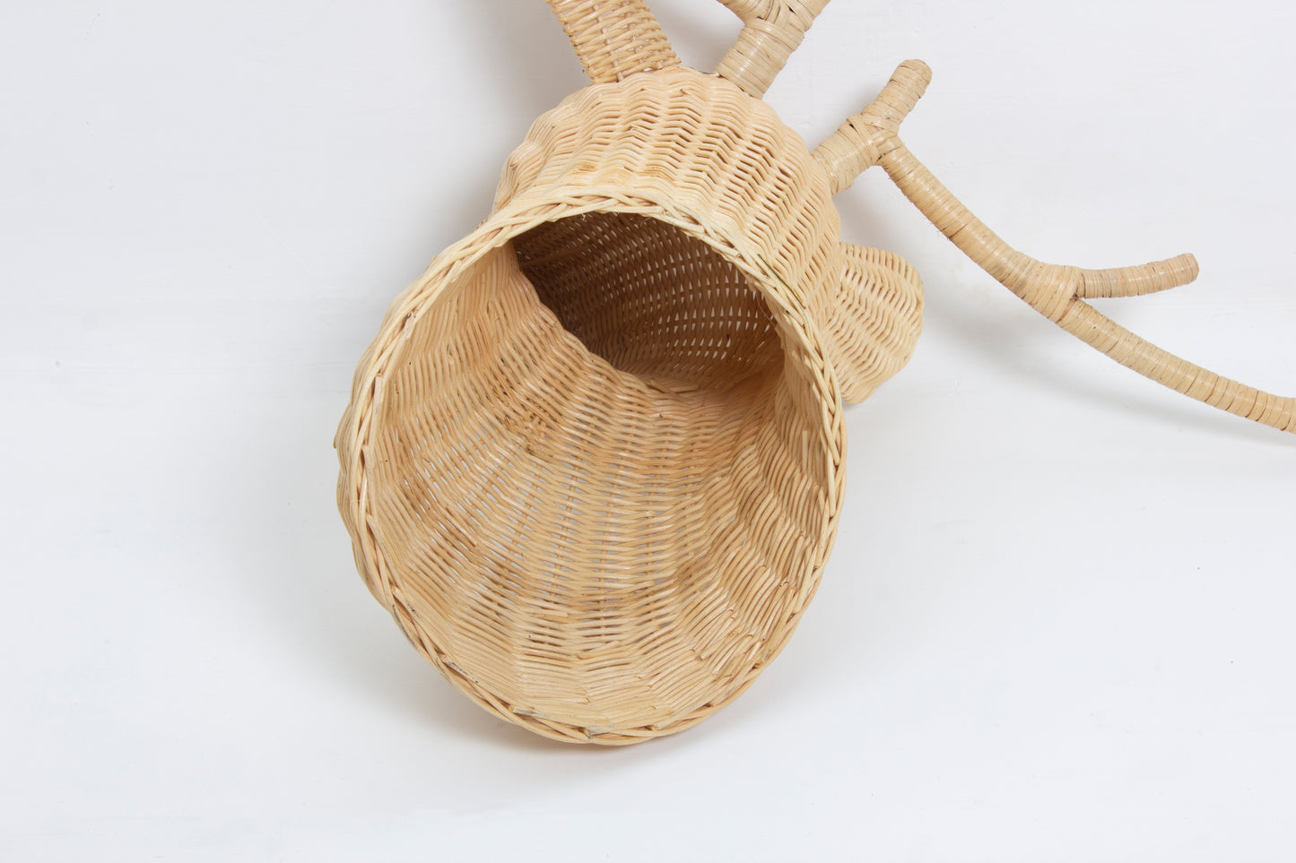 Rotan Dierenkop James Dierenkop Muurdecoratie