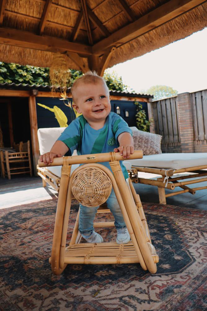 Hobbelscooter Henri Rotan Hobbelpaard