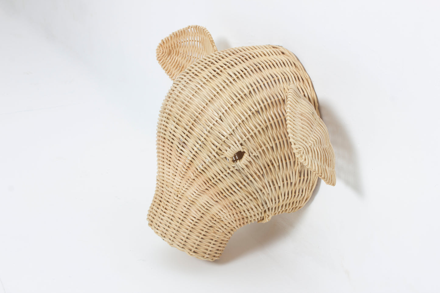 Rotan Dierenkop Eddy Varken Muurdecoratie