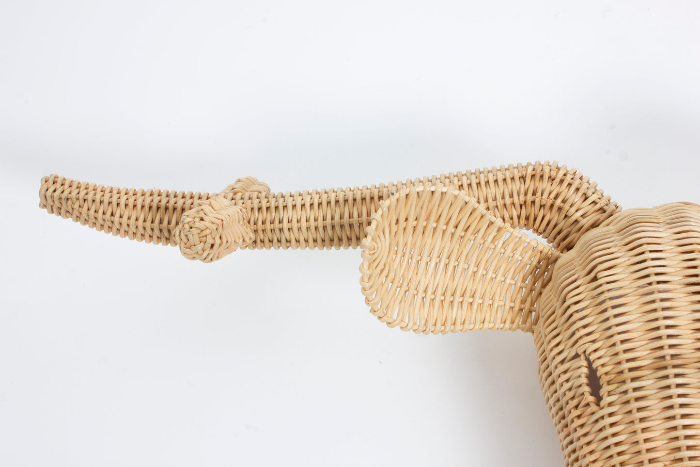 Rotan Dierenkop Simon Stier Muurdecoratie