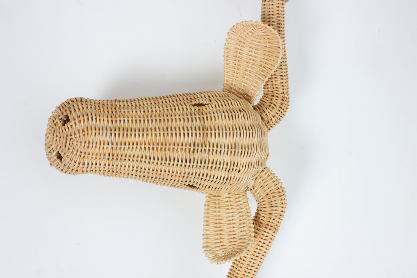 Rotan Dierenkop Simon Stier Muurdecoratie
