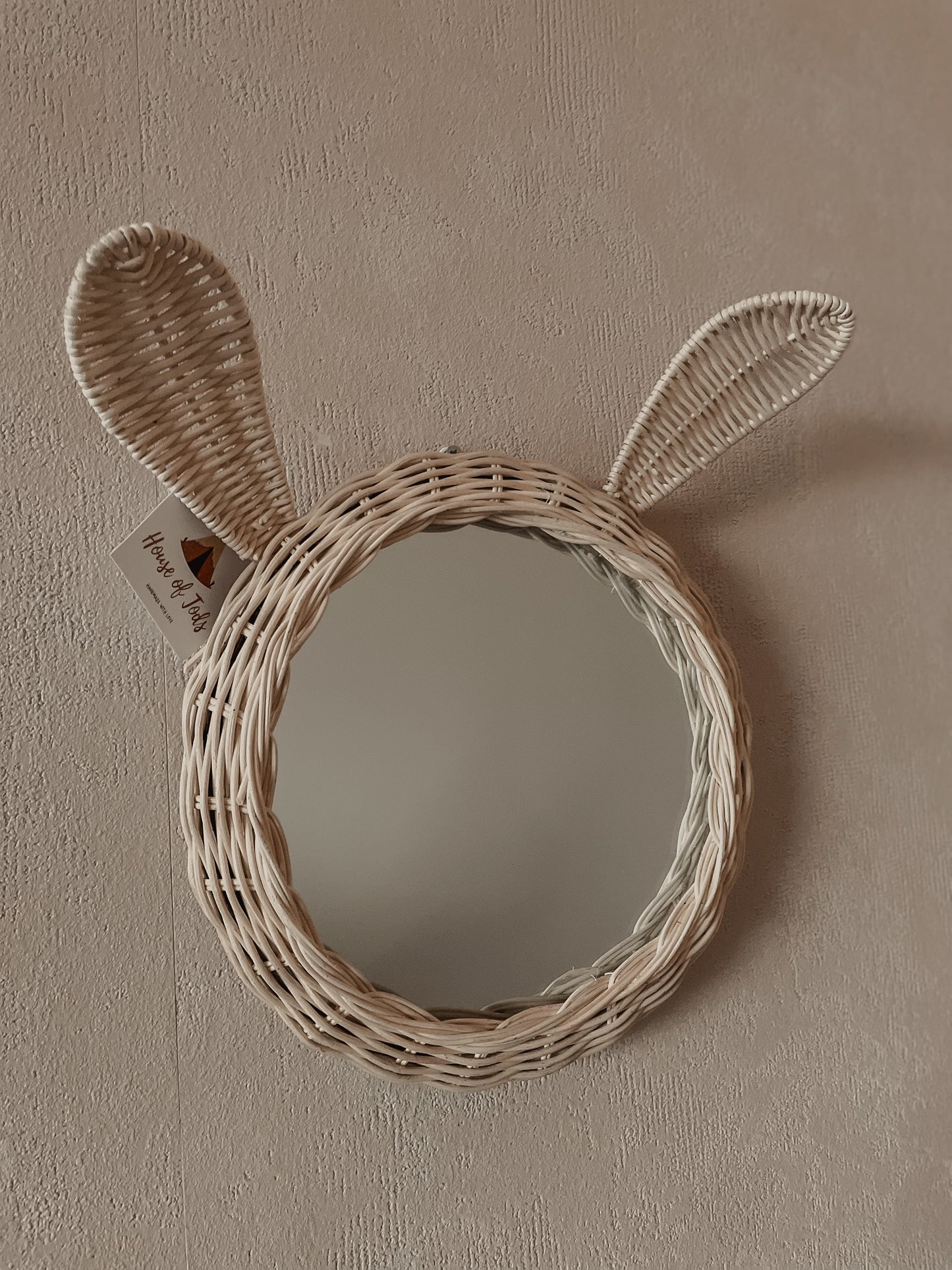 Rotan Spiegel Dier Konijn