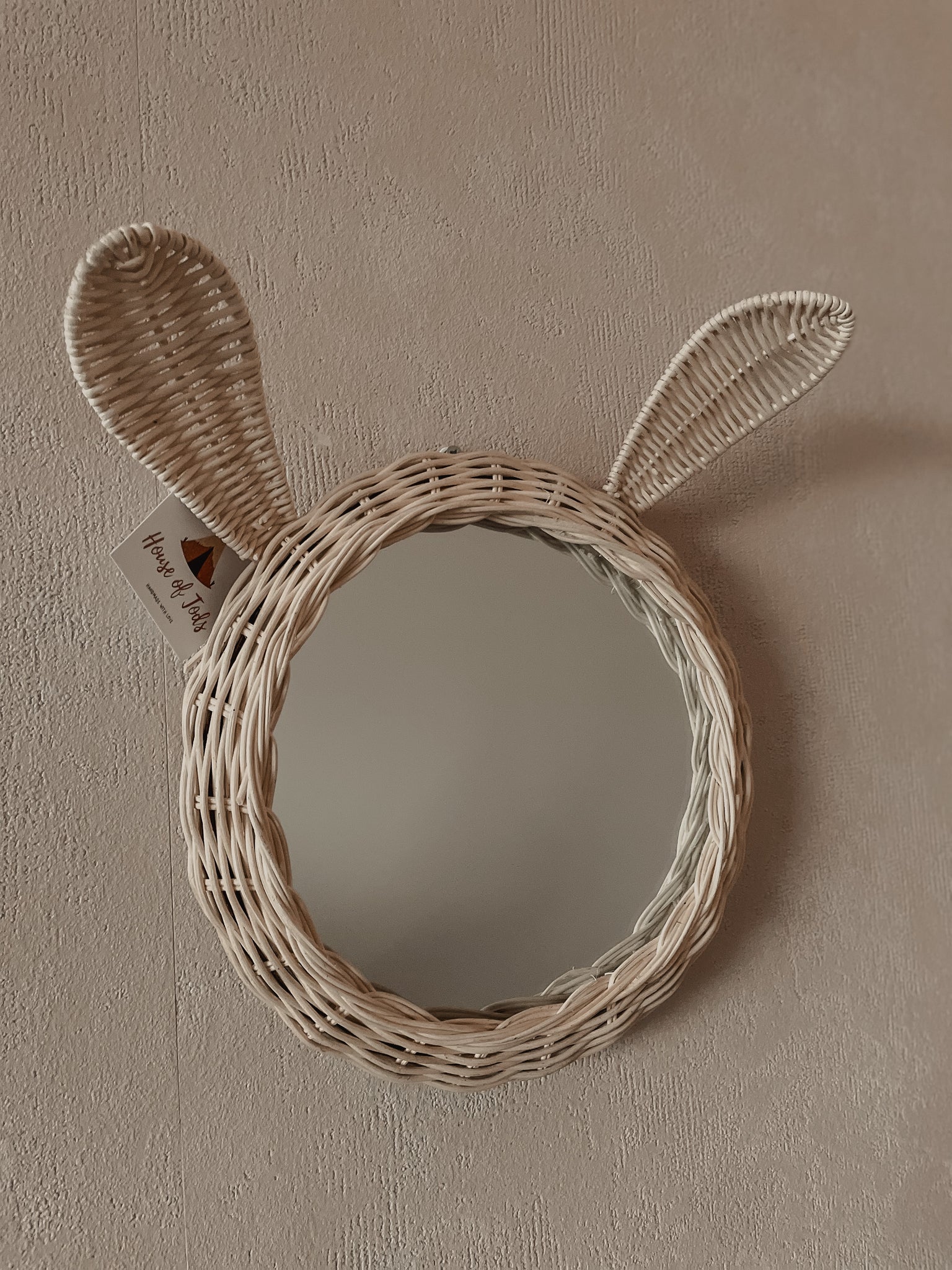 Rotan Spiegel Dier Konijn