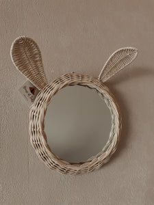 Rotan Spiegel Dier Konijn