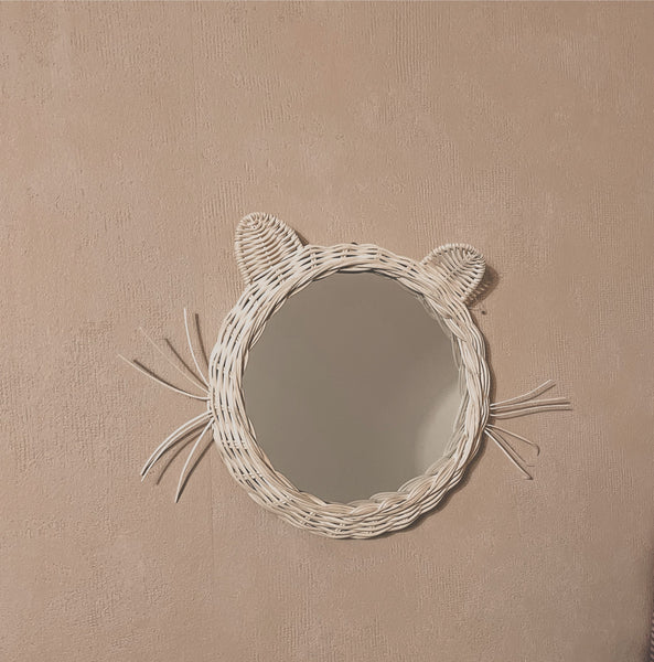 Rotan Spiegel Dier Poes