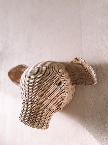 Eddy Het Varken Rotan Wanddecoratie Dierenkop