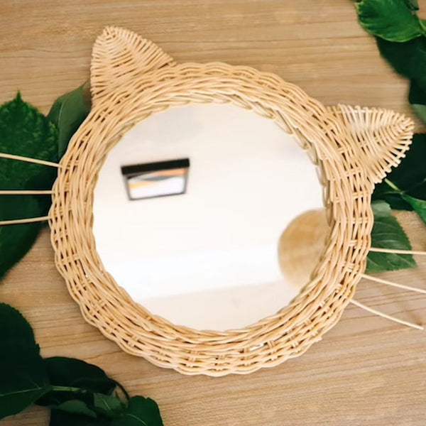 Rotan Spiegel Dier Poes